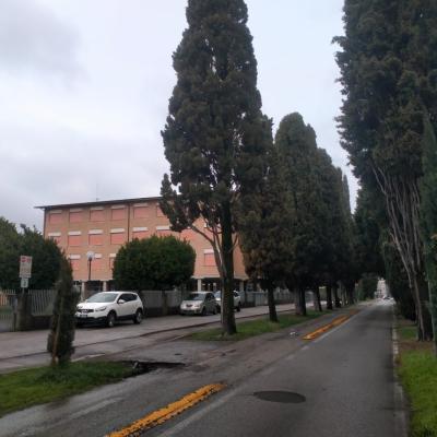 Bassanonet.it Bassano per tuttə