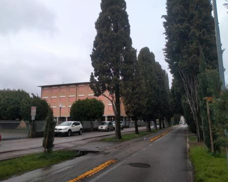 Bassanonet.it Bassano per tuttə