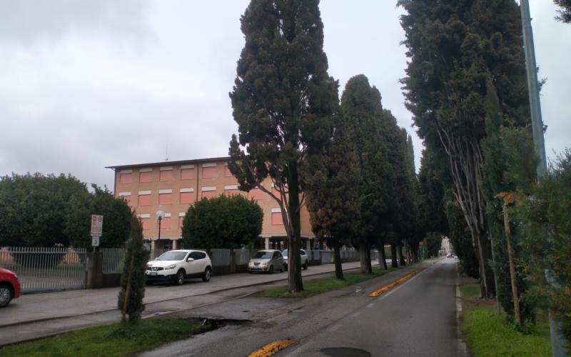 Bassanonet.it Bassano per tuttə