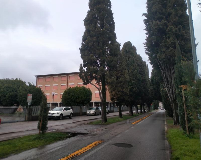 Bassanonet.it Bassano per tuttə