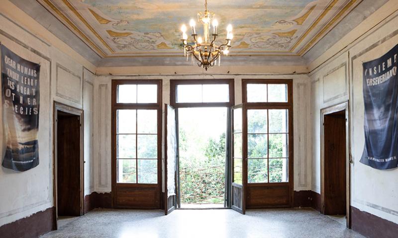 Bassanonet.it - opere di Rebecca Agnes, nel 2024 a Villa Albrizzi Marini