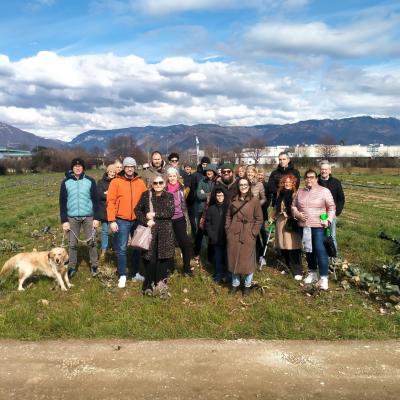 Bassanonet.it Discesa in campo