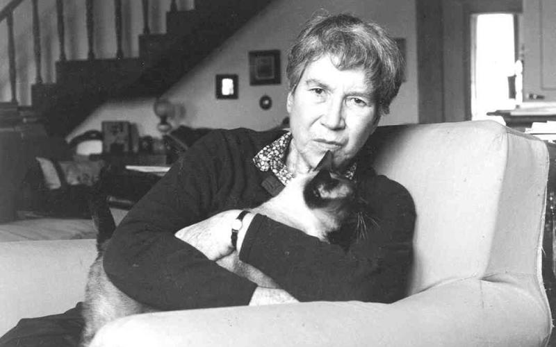 Bassanonet.it Modalità lettura 4 - n.7