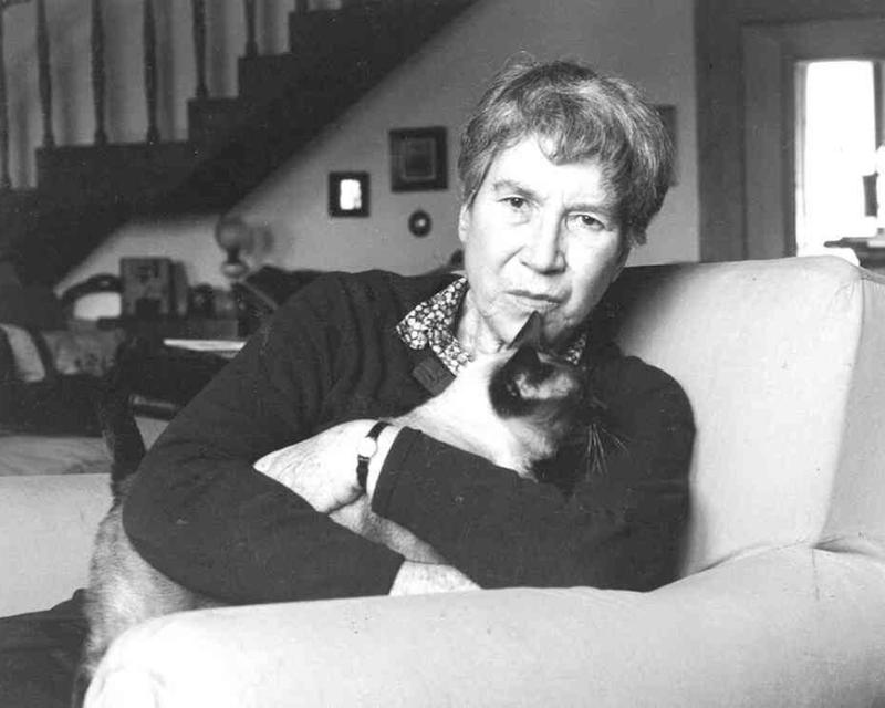 Bassanonet.it Modalità lettura 4 - n.7