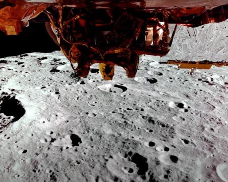 Bassanonet.it Goodnight Moon