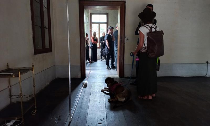 Bassanonet.it - opera di Edoardo Armellin