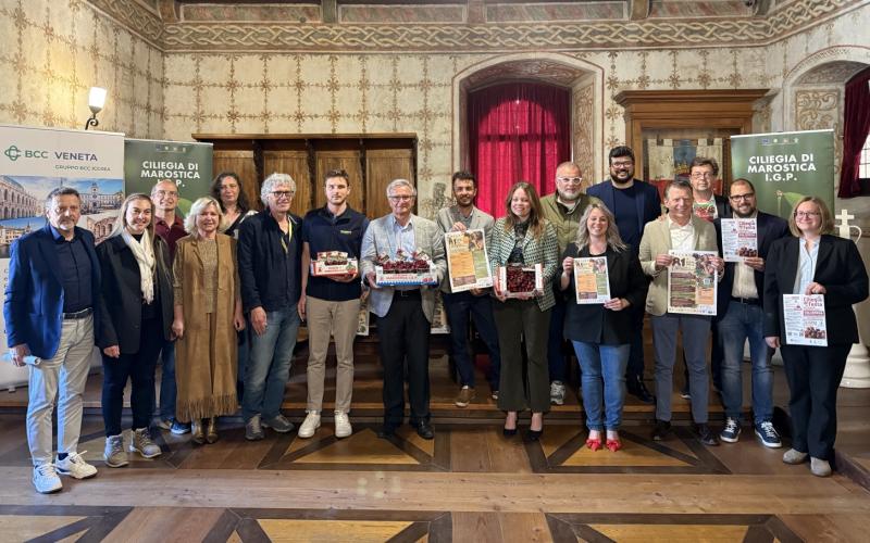 Bassanonet.it Siaresa iacta est