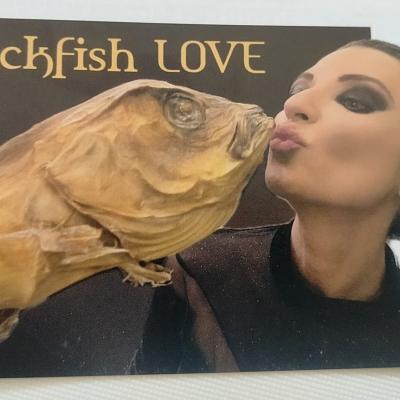 Bassanonet.it Stocca-kiss