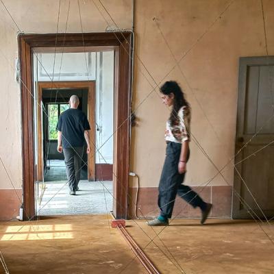 Bassanonet.it Quando l'arte mette radici