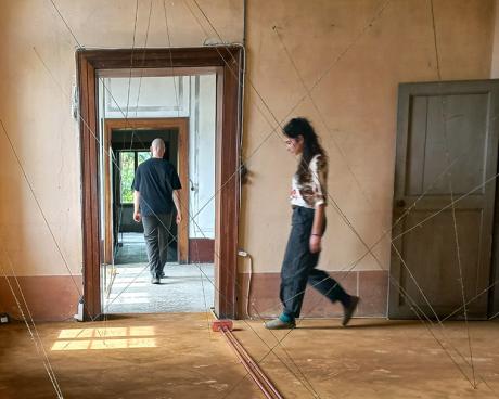 Bassanonet.it Quando l'arte mette radici