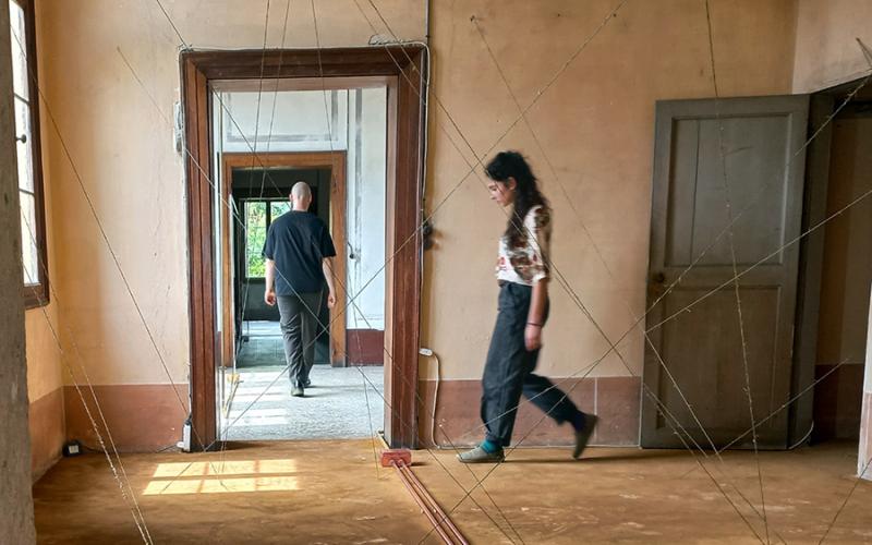 Bassanonet.it Quando l'arte mette radici