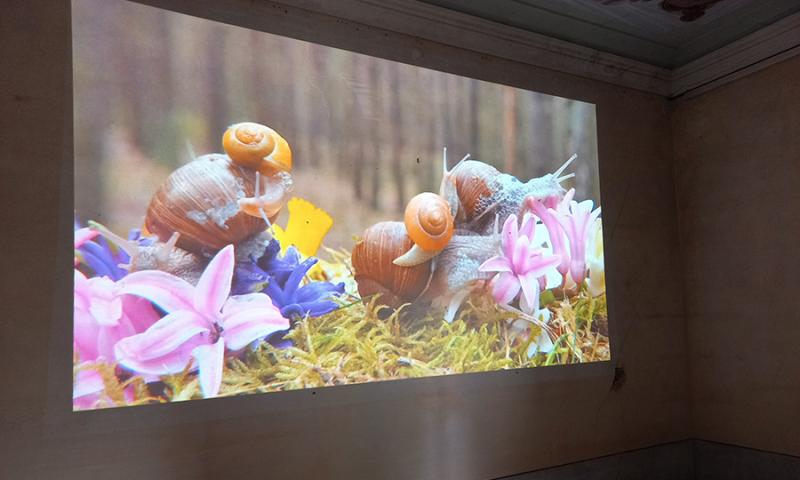 Bassanonet.it - opera di Chiara Benzi