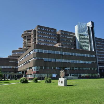 Bassanonet.it Virus Dengue, due casi a Bassano