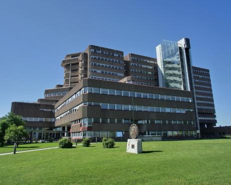 Bassanonet.it Virus Dengue, due casi a Bassano