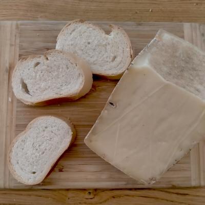 Bassanonet.it Pan e Formaggio