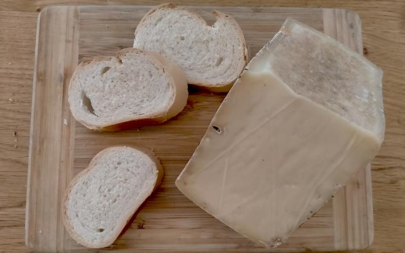 Bassanonet.it Pan e Formaggio