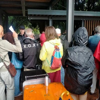 Bassanonet.it Stingin’ in the Rain