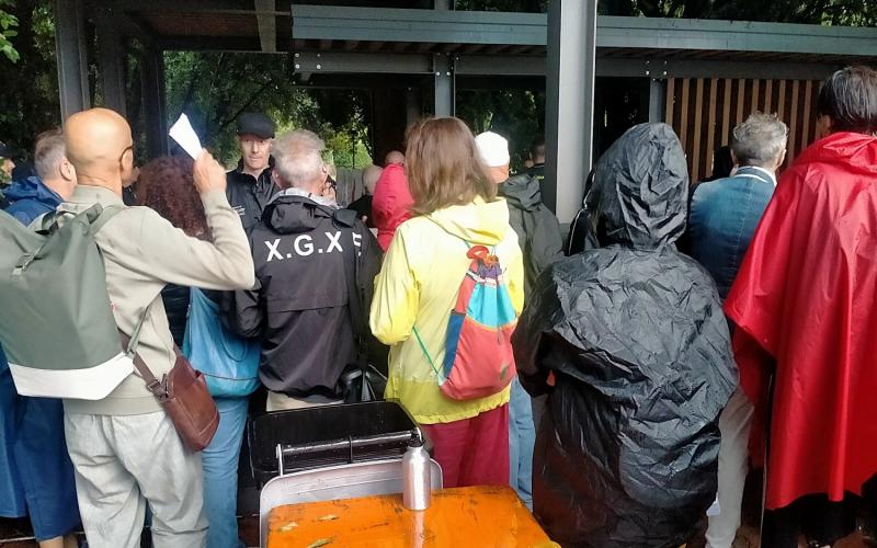 Bassanonet.it Stingin’ in the Rain