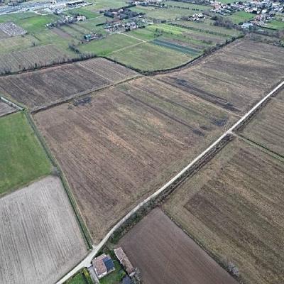Bassanonet.it Riparte all’attacco