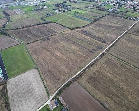 Bassanonet.it Riparte all’attacco