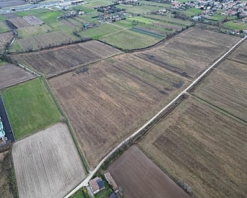 Bassanonet.it Riparte all’attacco