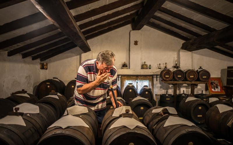 Bassanonet.it L’Italia balsamica