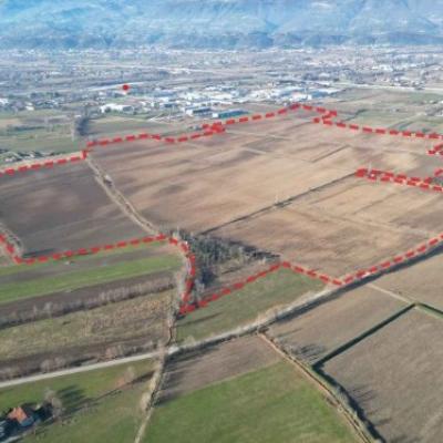 Bassanonet.it Quanto siamo agri