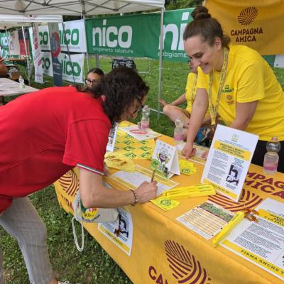 Bassanonet.it Questione di etichetta