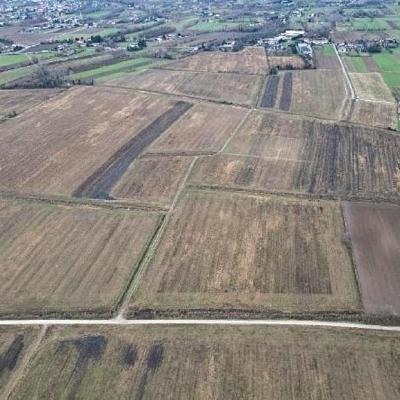 Bassanonet.it La Ripartenza