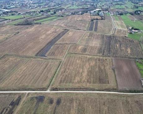 Bassanonet.it La Ripartenza