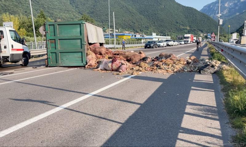 Bassanonet.it - L'incidente dello scorso 4 luglio sulla Ss. 47