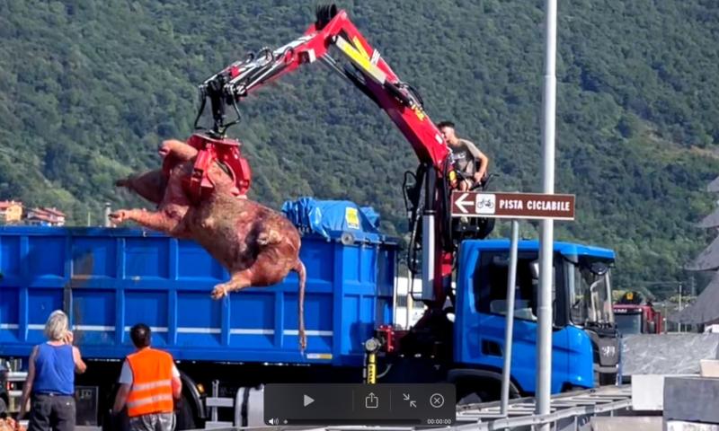 Bassanonet.it - L'incidente dello scorso 4 luglio sulla Ss. 47