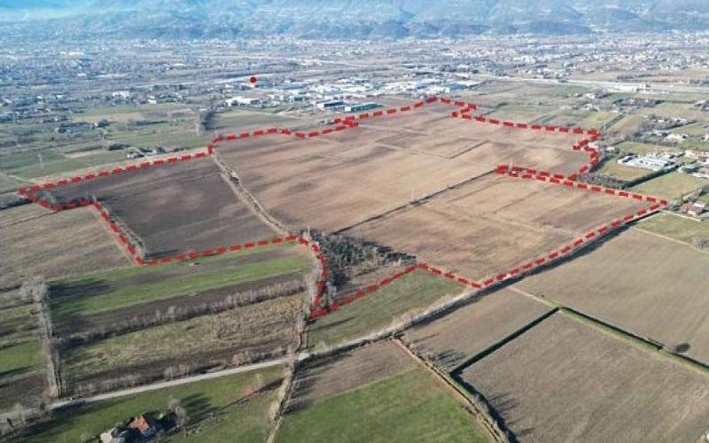 Bassanonet.it Non c’è Rosà senza spine