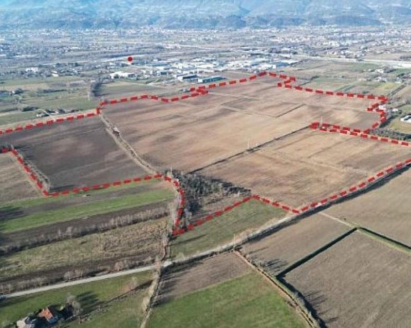 Bassanonet.it Non c’è Rosà senza spine