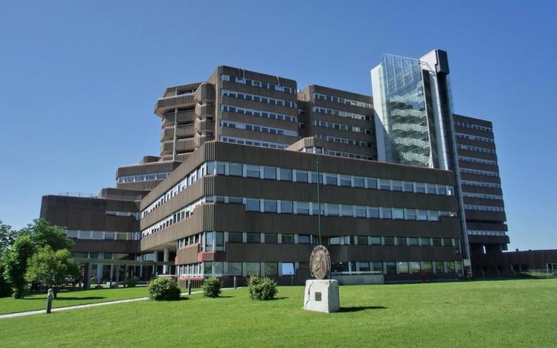 Bassanonet.it Bonus Bebè