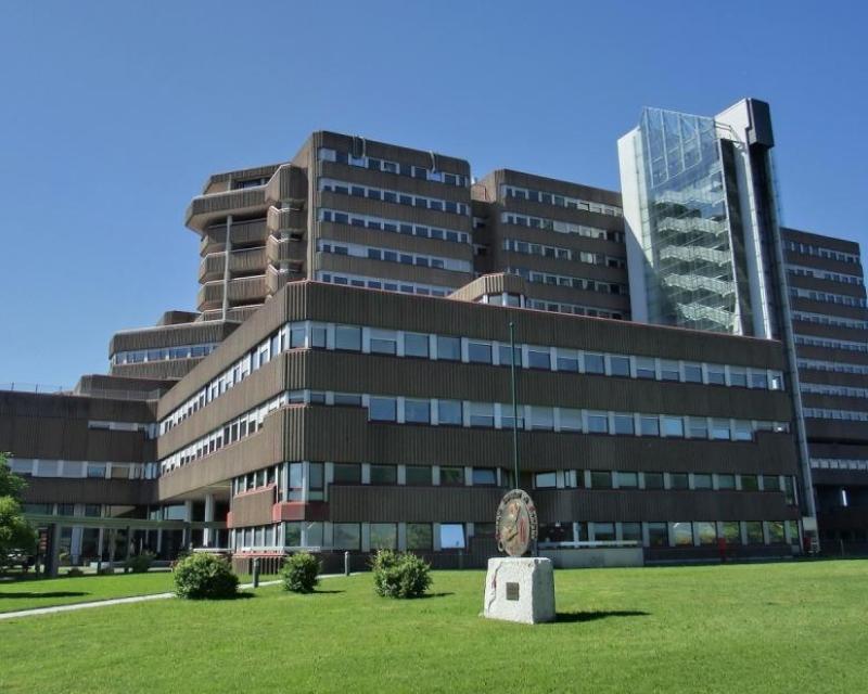 Bassanonet.it Bonus Bebè