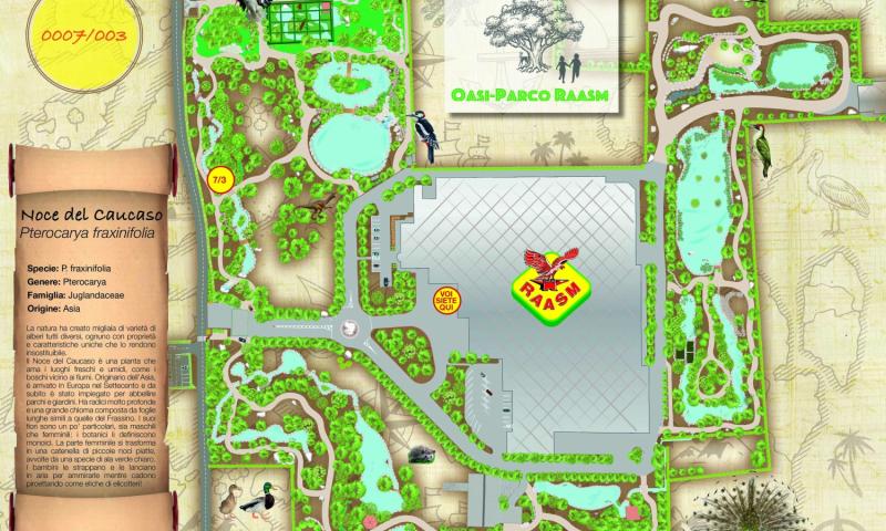 Bassanonet.it - La mappa del tesoro