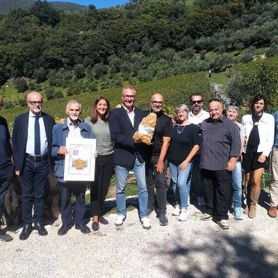 Bassanonet.it Solo per i tuoi gnocchi