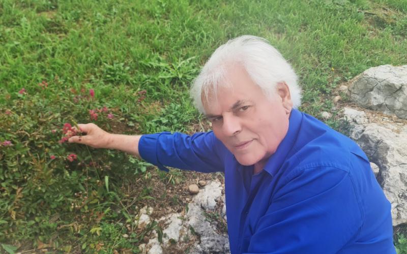 Bassanonet.it Dal futuro secondo Giovanni