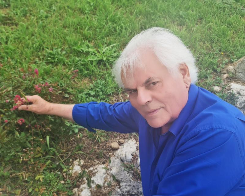 Bassanonet.it Dal futuro secondo Giovanni