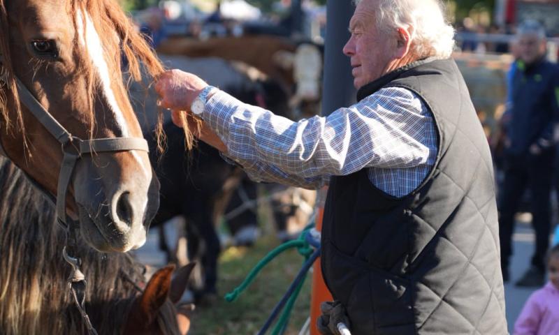 Bassanonet.it - Foto Dario Vanin