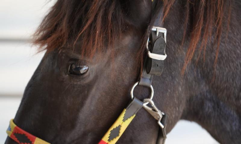 Bassanonet.it - Foto Dario Vanin