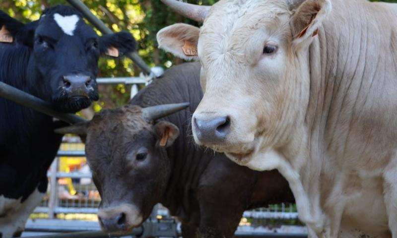 Bassanonet.it - Foto Dario Vanin