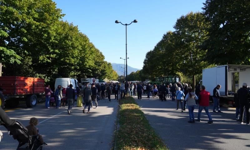 Bassanonet.it - Foto Dario Vanin