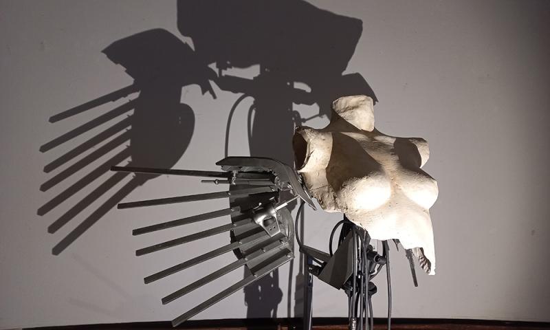 Bassanonet.it - da <em>Umanica</em>: opera di Franz Chi, per Dif.fusione