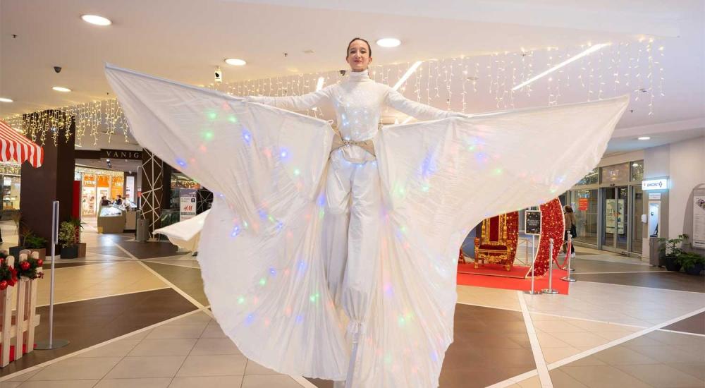 Bassanonet.it Novembre di festa e solidarietà al Grifone, tra arte, eventi e spettacoli