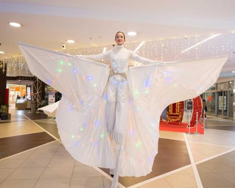 Bassanonet.it Novembre di festa e solidarietà al Grifone, tra arte, eventi e spettacoli