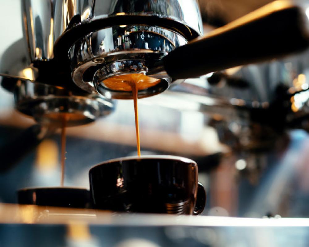 Bassanonet.it Piante viaggiatrici: tra tradizione e contemporaneo