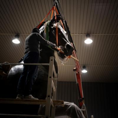 Bassanonet.it Il colosso di Bassano