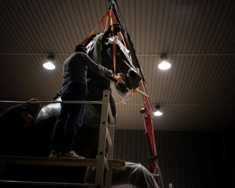 Bassanonet.it Il colosso di Bassano